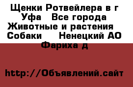 Щенки Ротвейлера в г.Уфа - Все города Животные и растения » Собаки   . Ненецкий АО,Фариха д.